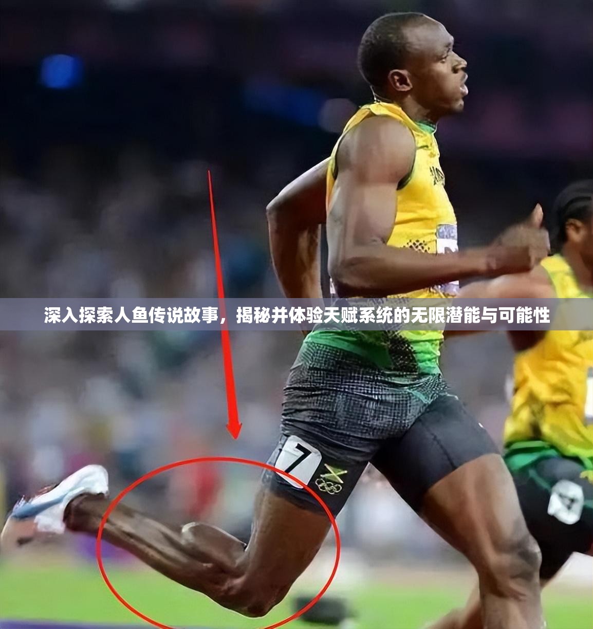 深入探索人鱼传说故事，揭秘并体验天赋系统的无限潜能与可能性