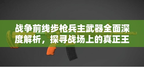 战争前线步枪兵主武器全面深度解析，探寻战场上的真正王者之枪