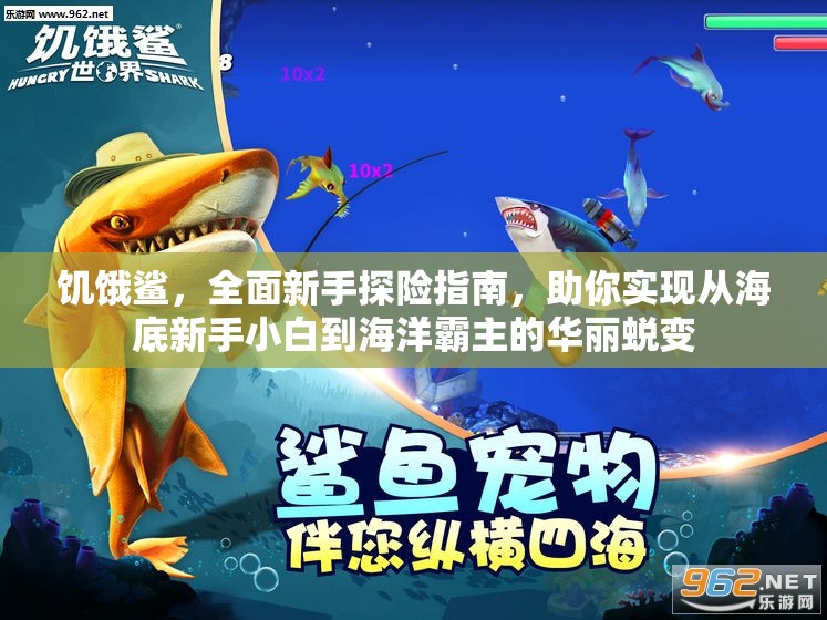 饥饿鲨，全面新手探险指南，助你实现从海底新手小白到海洋霸主的华丽蜕变