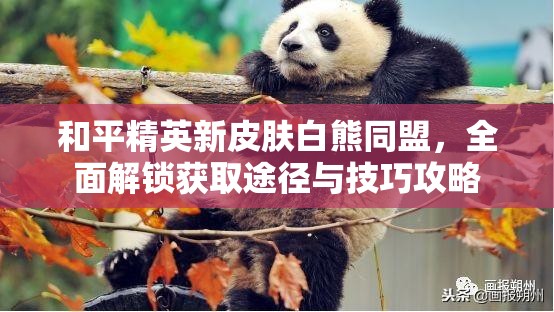 和平精英新皮肤白熊同盟，全面解锁获取途径与技巧攻略