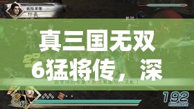 真三国无双6猛将传，深度解析吕布在五丈原撤退战中的资源管理艺术