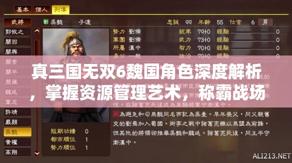 真三国无双6魏国角色深度解析，掌握资源管理艺术，称霸战场攻略