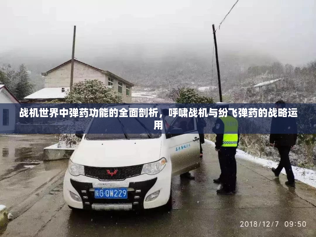 战机世界中弹药功能的全面剖析，呼啸战机与纷飞弹药的战略运用