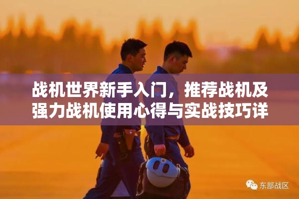 战机世界新手入门，推荐战机及强力战机使用心得与实战技巧详解