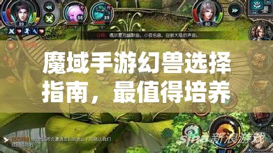 魔域手游幻兽选择指南，最值得培养幻兽推荐及其资源管理策略解析
