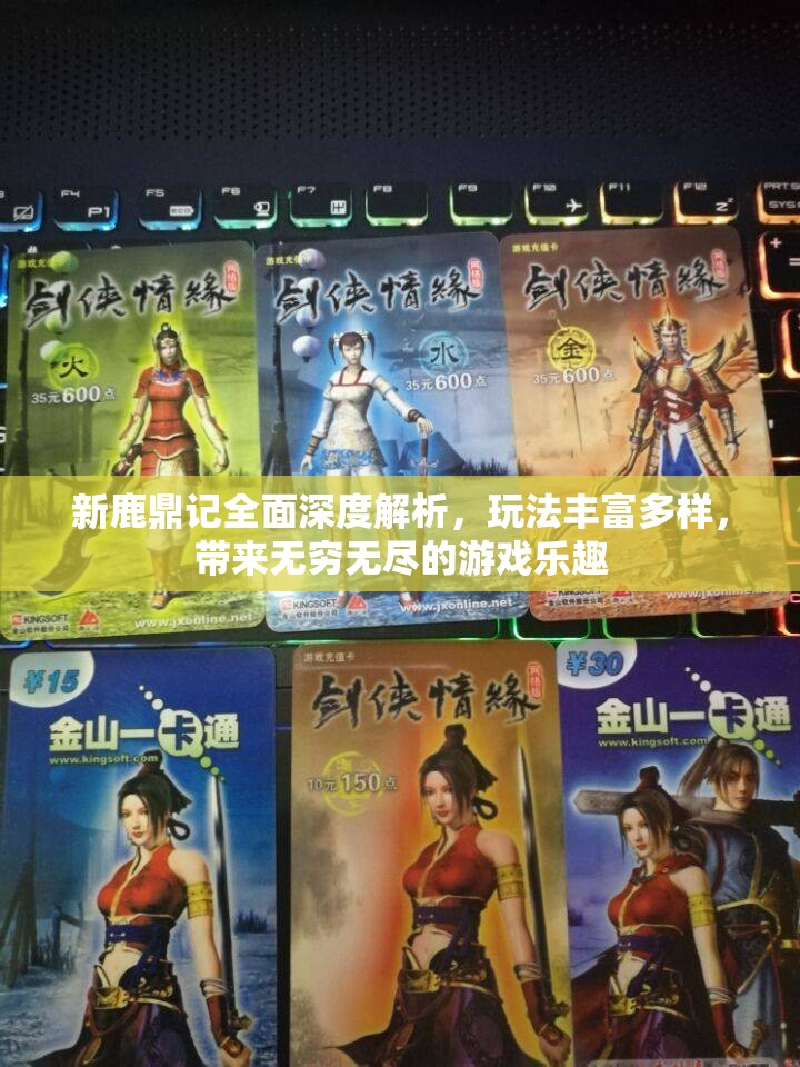 新鹿鼎记全面深度解析，玩法丰富多样，带来无穷无尽的游戏乐趣