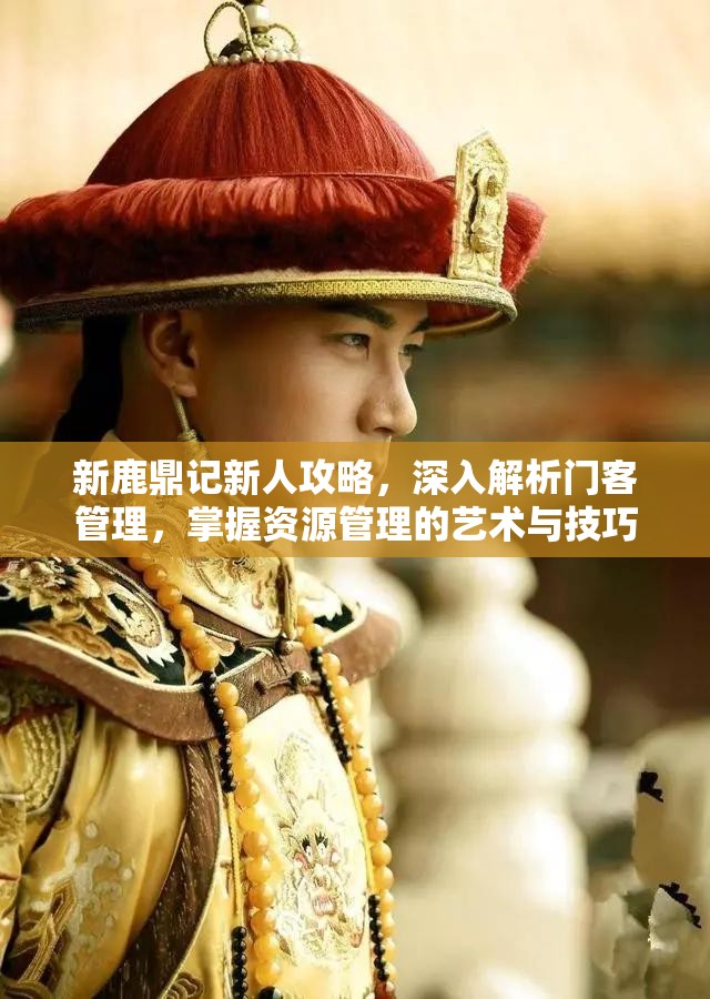 新鹿鼎记新人攻略，深入解析门客管理，掌握资源管理的艺术与技巧