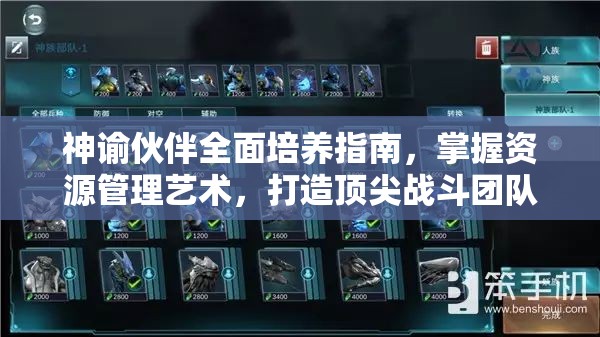 神谕伙伴全面培养指南，掌握资源管理艺术，打造顶尖战斗团队