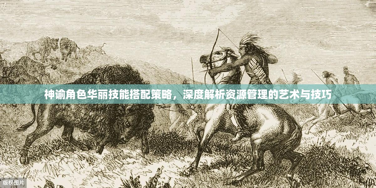 神谕角色华丽技能搭配策略，深度解析资源管理的艺术与技巧