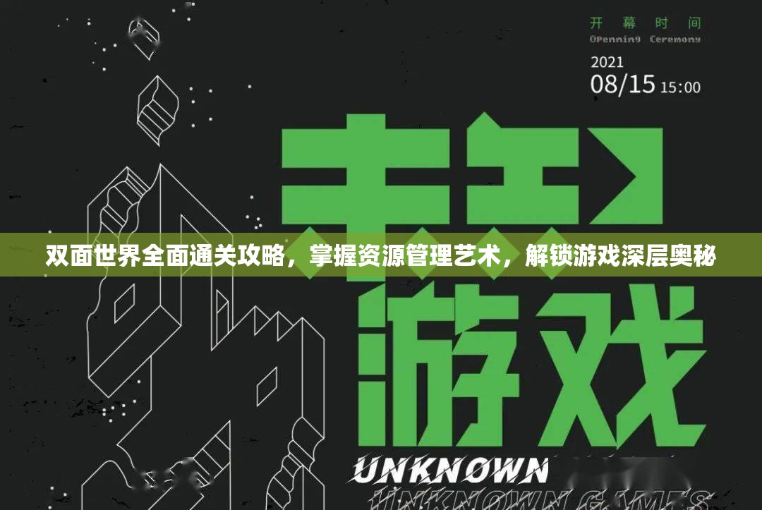 双面世界全面通关攻略，掌握资源管理艺术，解锁游戏深层奥秘