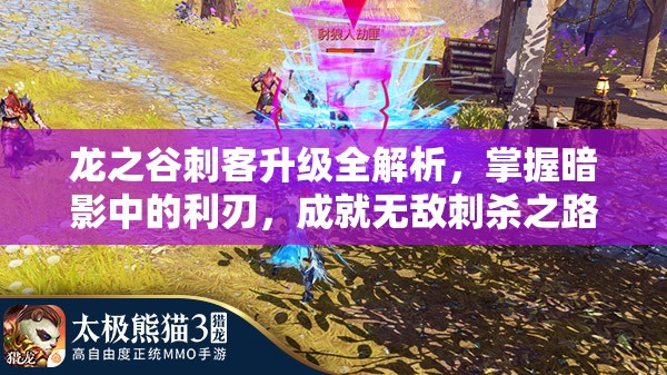 龙之谷刺客升级全解析，掌握暗影中的利刃，成就无敌刺杀之路