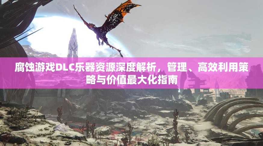 腐蚀游戏DLC乐器资源深度解析，管理、高效利用策略与价值最大化指南