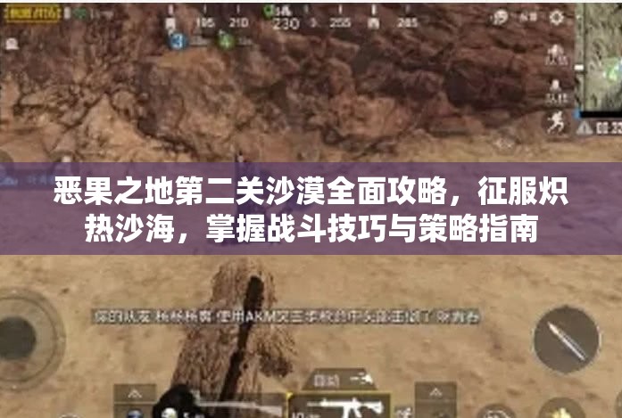 恶果之地第二关沙漠全面攻略，征服炽热沙海，掌握战斗技巧与策略指南