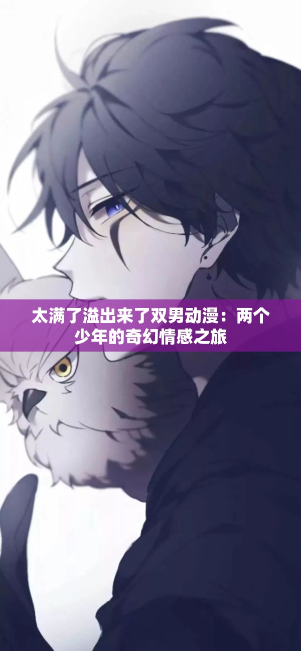 太满了溢出来了双男动漫：两个少年的奇幻情感之旅