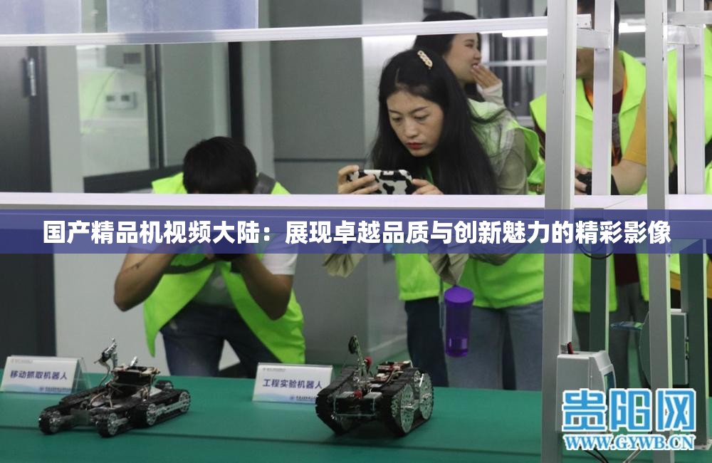 国产精品机视频大陆：展现卓越品质与创新魅力的精彩影像