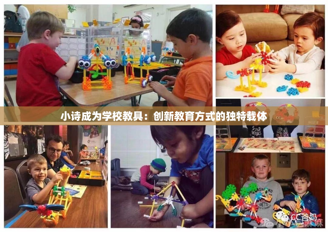 小诗成为学校教具：创新教育方式的独特载体