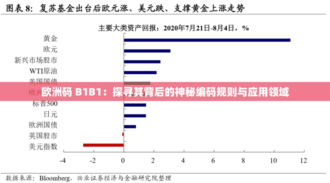 欧洲码 B1B1：探寻其背后的神秘编码规则与应用领域