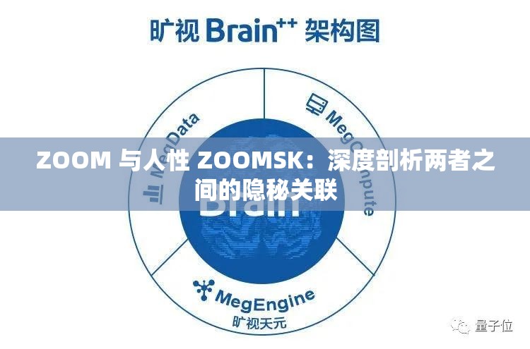 ZOOM 与人性 ZOOMSK：深度剖析两者之间的隐秘关联