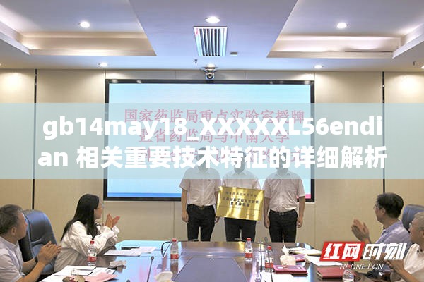 gb14may18_XXXXXL56endian 相关重要技术特征的详细解析