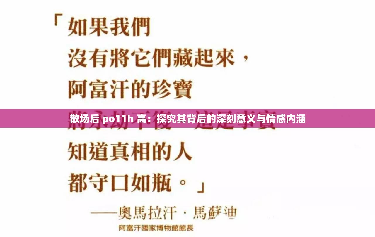 散场后 po11h 高：探究其背后的深刻意义与情感内涵