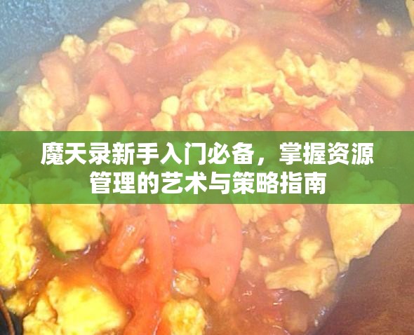 魔天录新手入门必备，掌握资源管理的艺术与策略指南