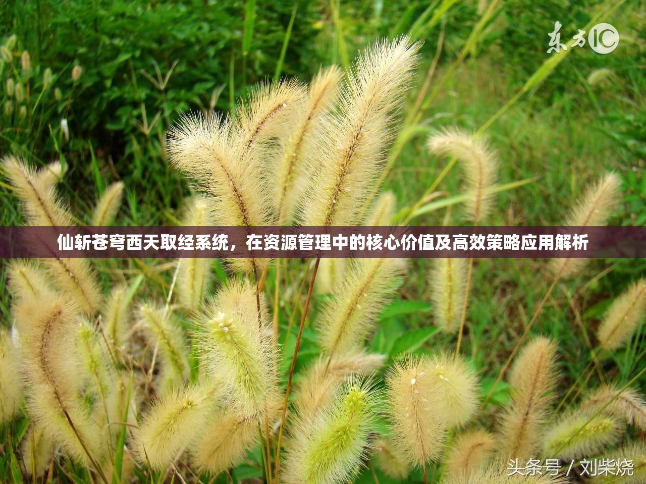 仙斩苍穹西天取经系统，在资源管理中的核心价值及高效策略应用解析