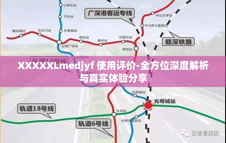XXXXXLmedjyf 使用评价-全方位深度解析与真实体验分享