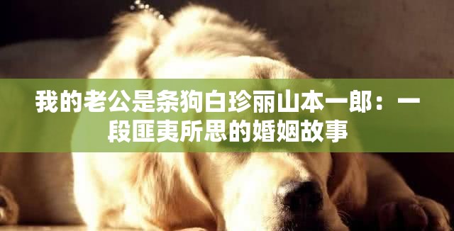 我的老公是条狗白珍丽山本一郎：一段匪夷所思的婚姻故事