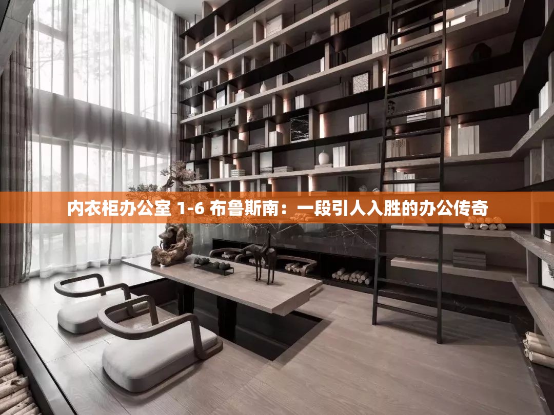 内衣柜办公室 1-6 布鲁斯南：一段引人入胜的办公传奇