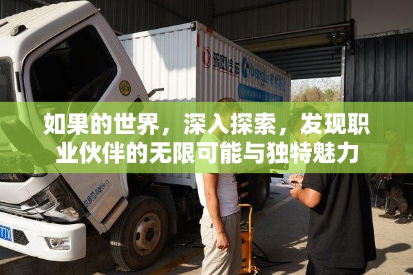 如果的世界，深入探索，发现职业伙伴的无限可能与独特魅力