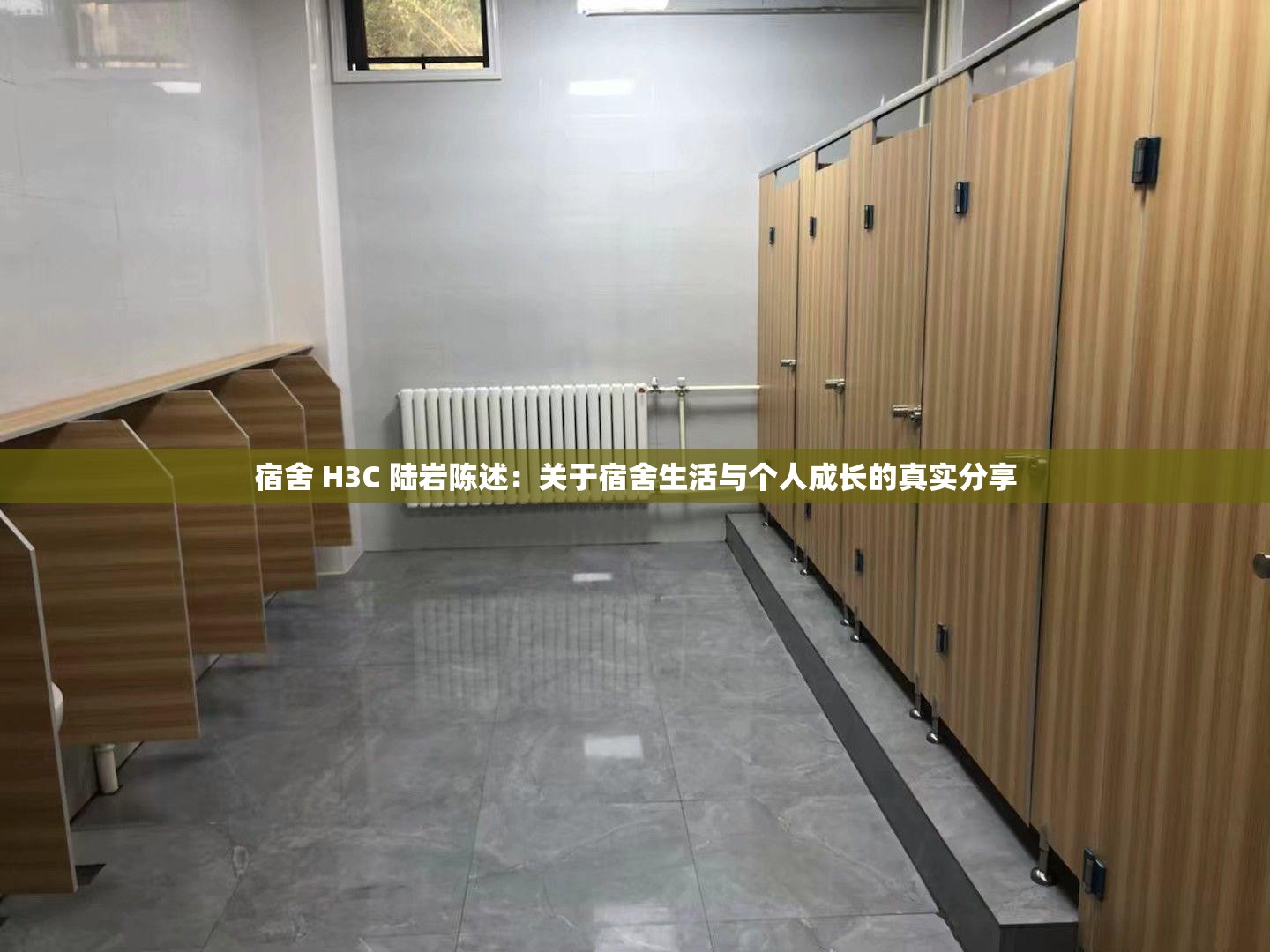 宿舍 H3C 陆岩陈述：关于宿舍生活与个人成长的真实分享