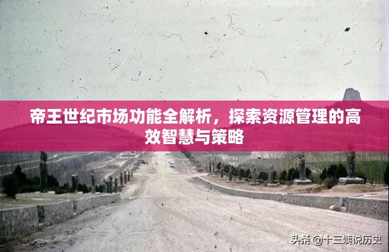 帝王世纪市场功能全解析，探索资源管理的高效智慧与策略