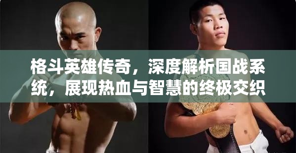 格斗英雄传奇，深度解析国战系统，展现热血与智慧的终极交织