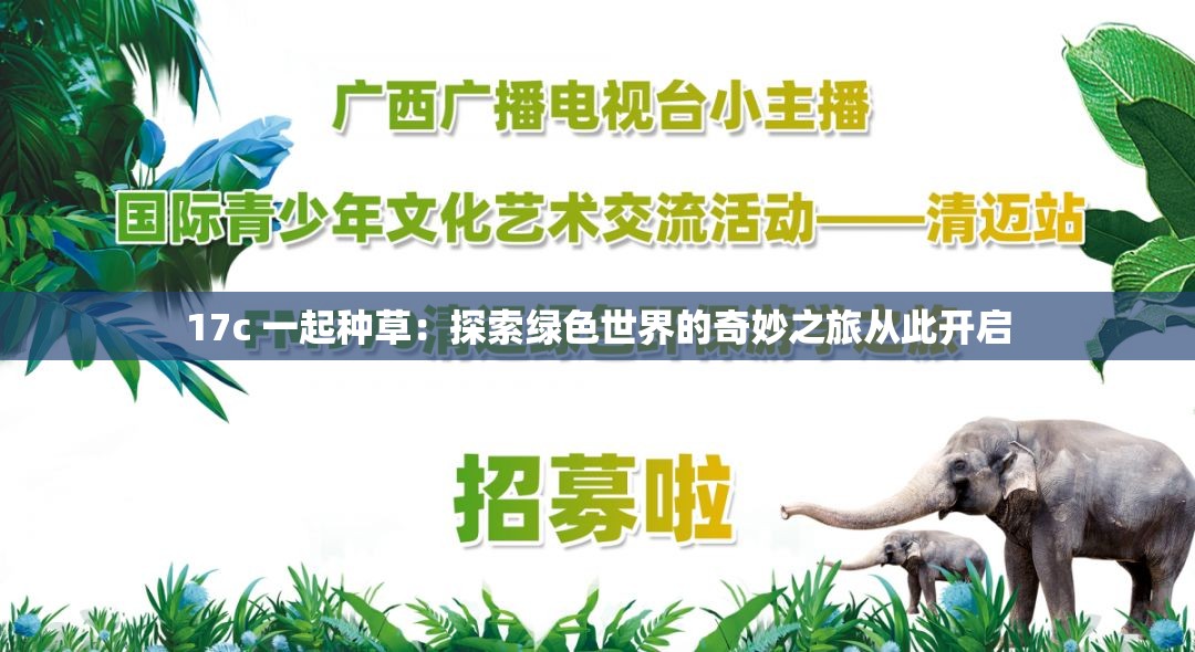 17c 一起种草：探索绿色世界的奇妙之旅从此开启
