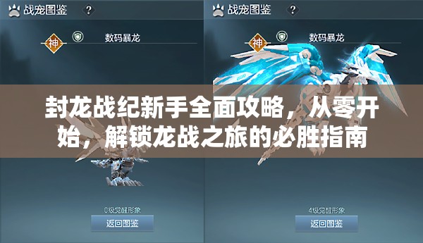 封龙战纪新手全面攻略，从零开始，解锁龙战之旅的必胜指南