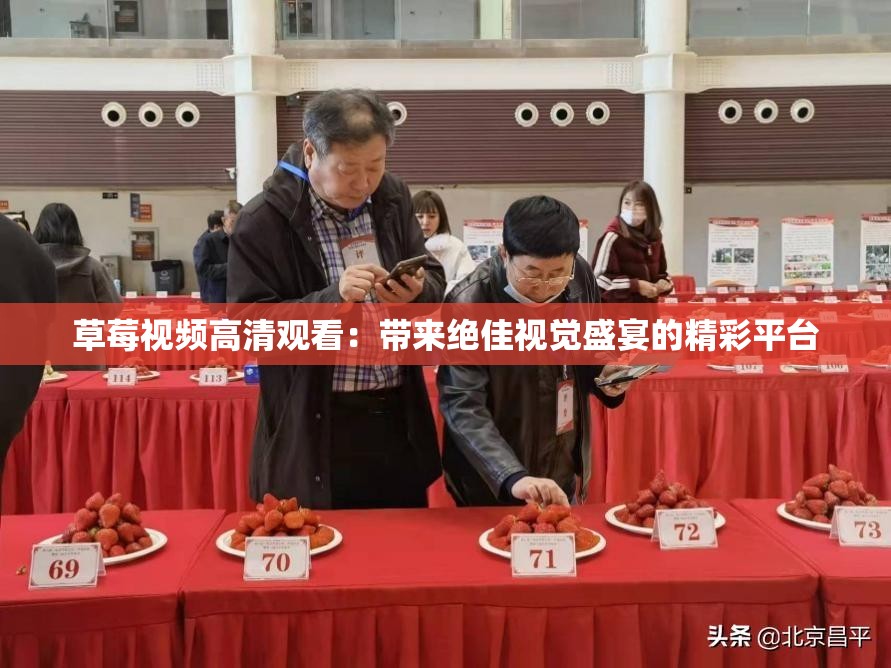 草莓视频高清观看：带来绝佳视觉盛宴的精彩平台