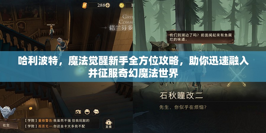 哈利波特，魔法觉醒新手全方位攻略，助你迅速融入并征服奇幻魔法世界
