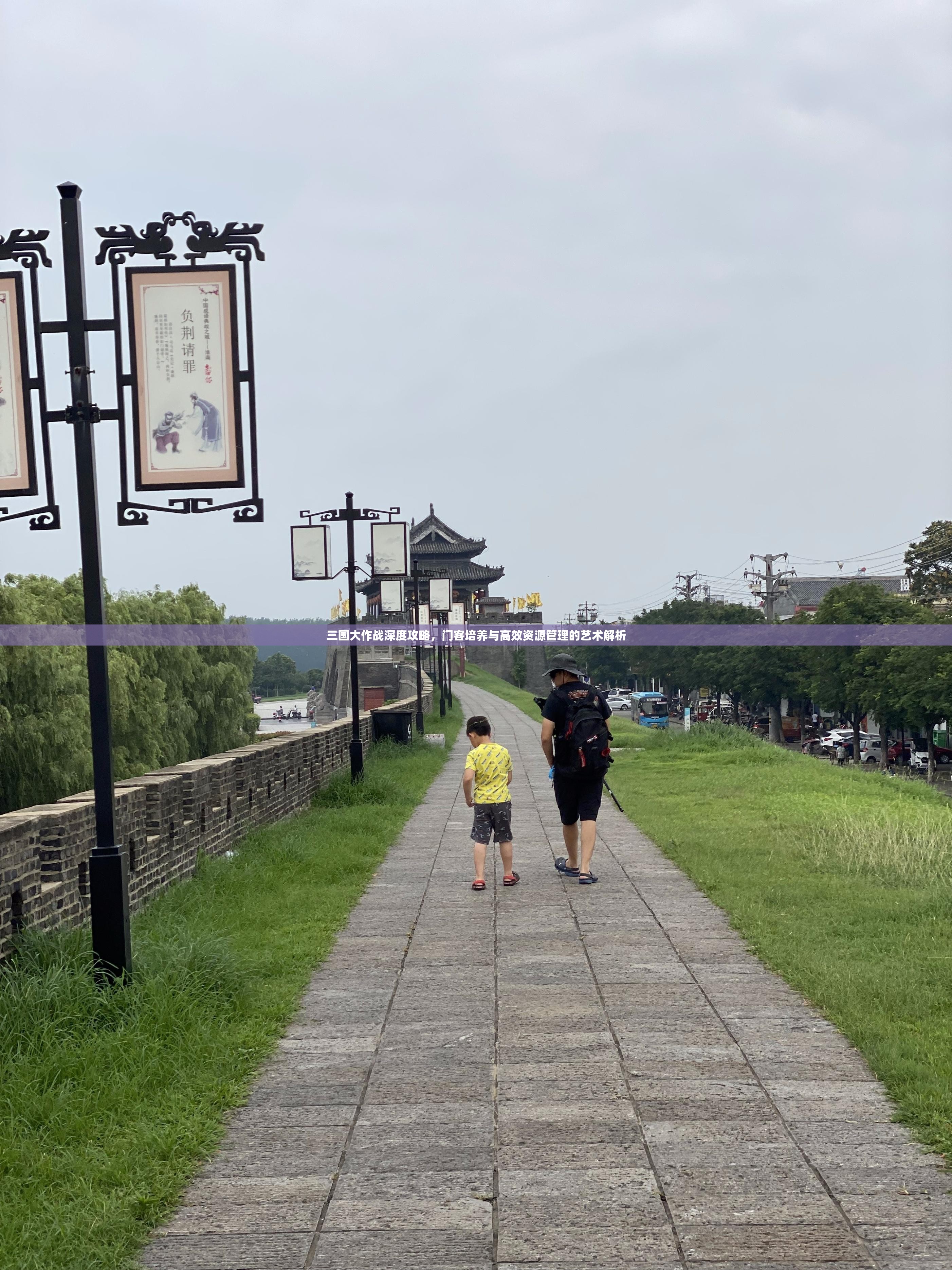 三国大作战深度攻略，门客培养与高效资源管理的艺术解析