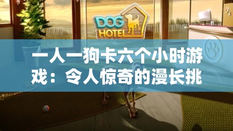 一人一狗卡六个小时游戏：令人惊奇的漫长挑战之旅