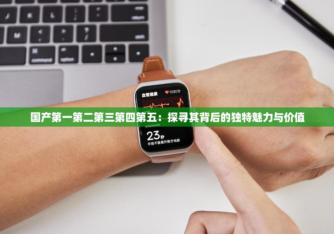 国产第一第二第三第四第五：探寻其背后的独特魅力与价值