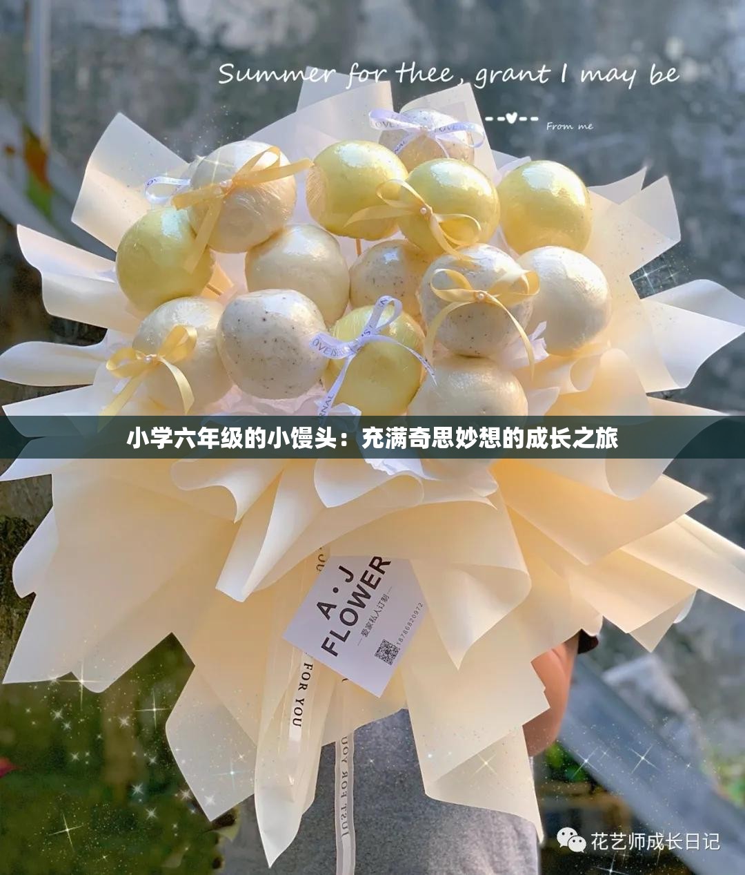 小学六年级的小馒头：充满奇思妙想的成长之旅