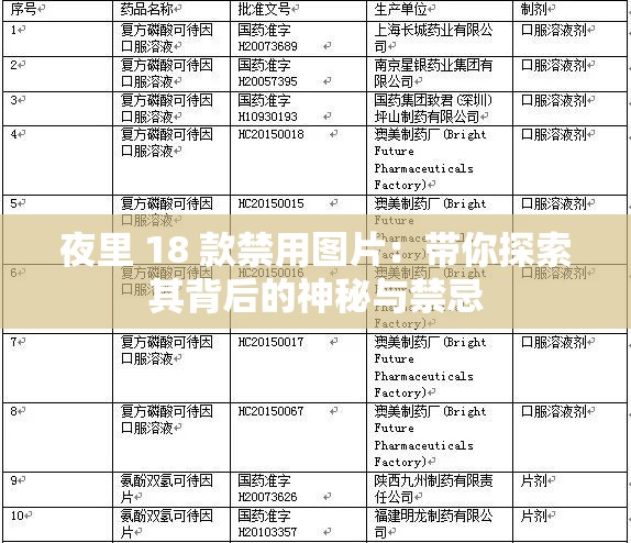 夜里 18 款禁用图片：带你探索其背后的神秘与禁忌