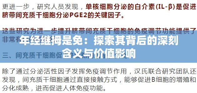 年经继拇是免：探索其背后的深刻含义与价值影响