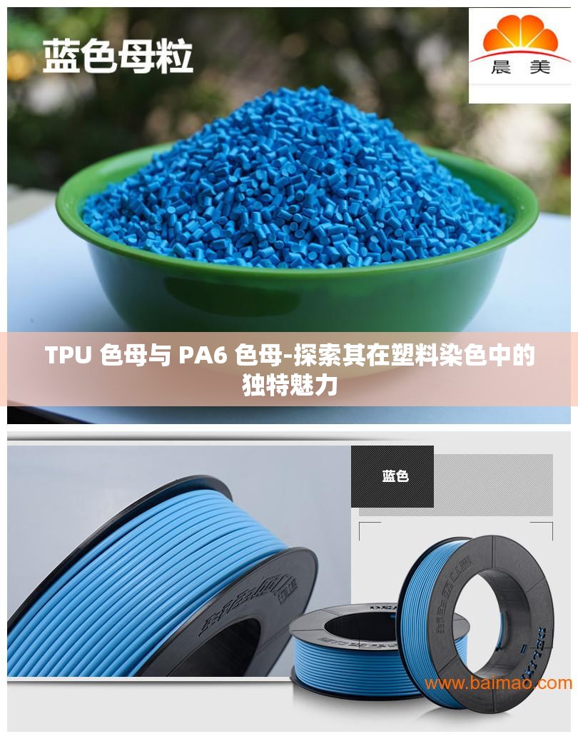 TPU 色母与 PA6 色母-探索其在塑料染色中的独特魅力