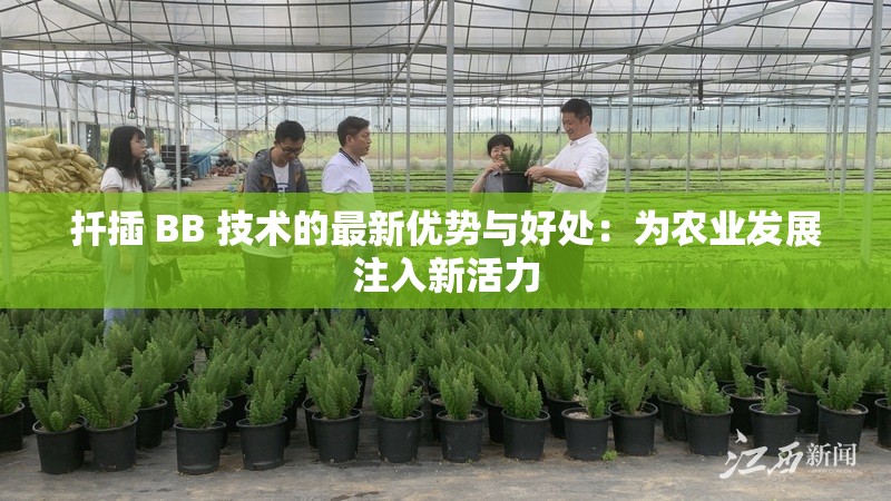 扦插 BB 技术的最新优势与好处：为农业发展注入新活力