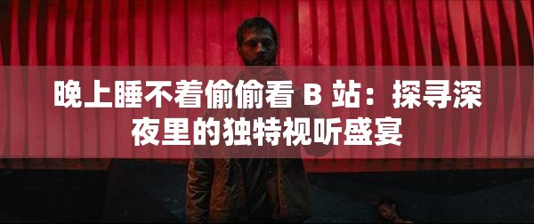 晚上睡不着偷偷看 B 站：探寻深夜里的独特视听盛宴