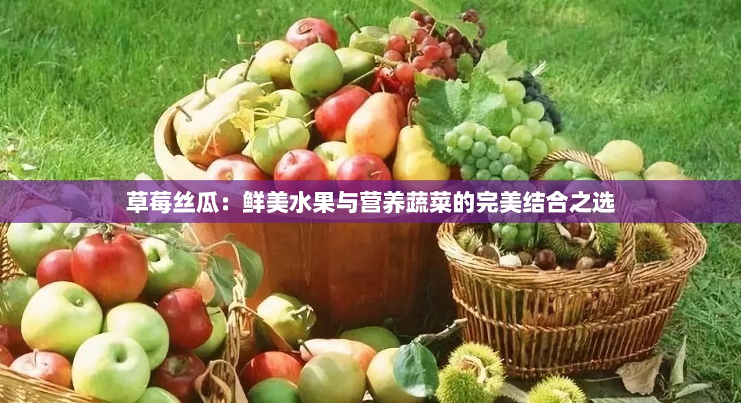 草莓丝瓜：鲜美水果与营养蔬菜的完美结合之选