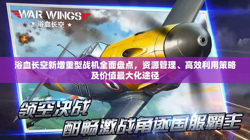 浴血长空新增重型战机全面盘点，资源管理、高效利用策略及价值最大化途径