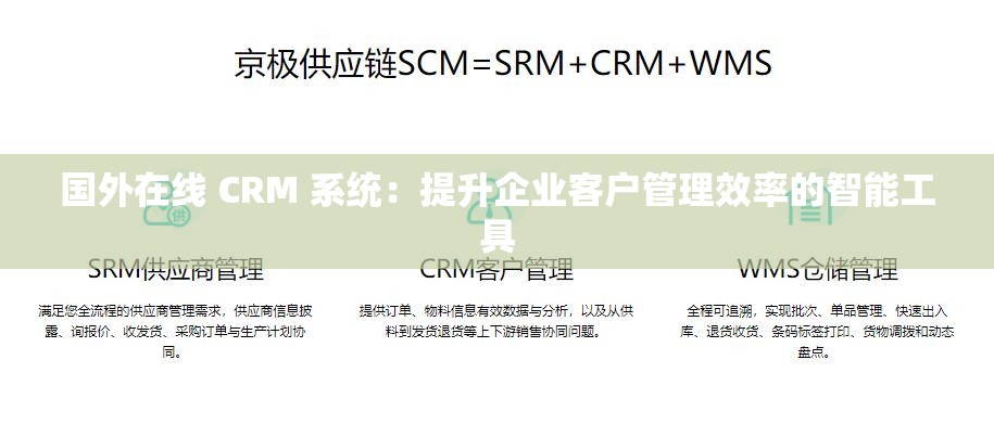 国外在线 CRM 系统：提升企业客户管理效率的智能工具