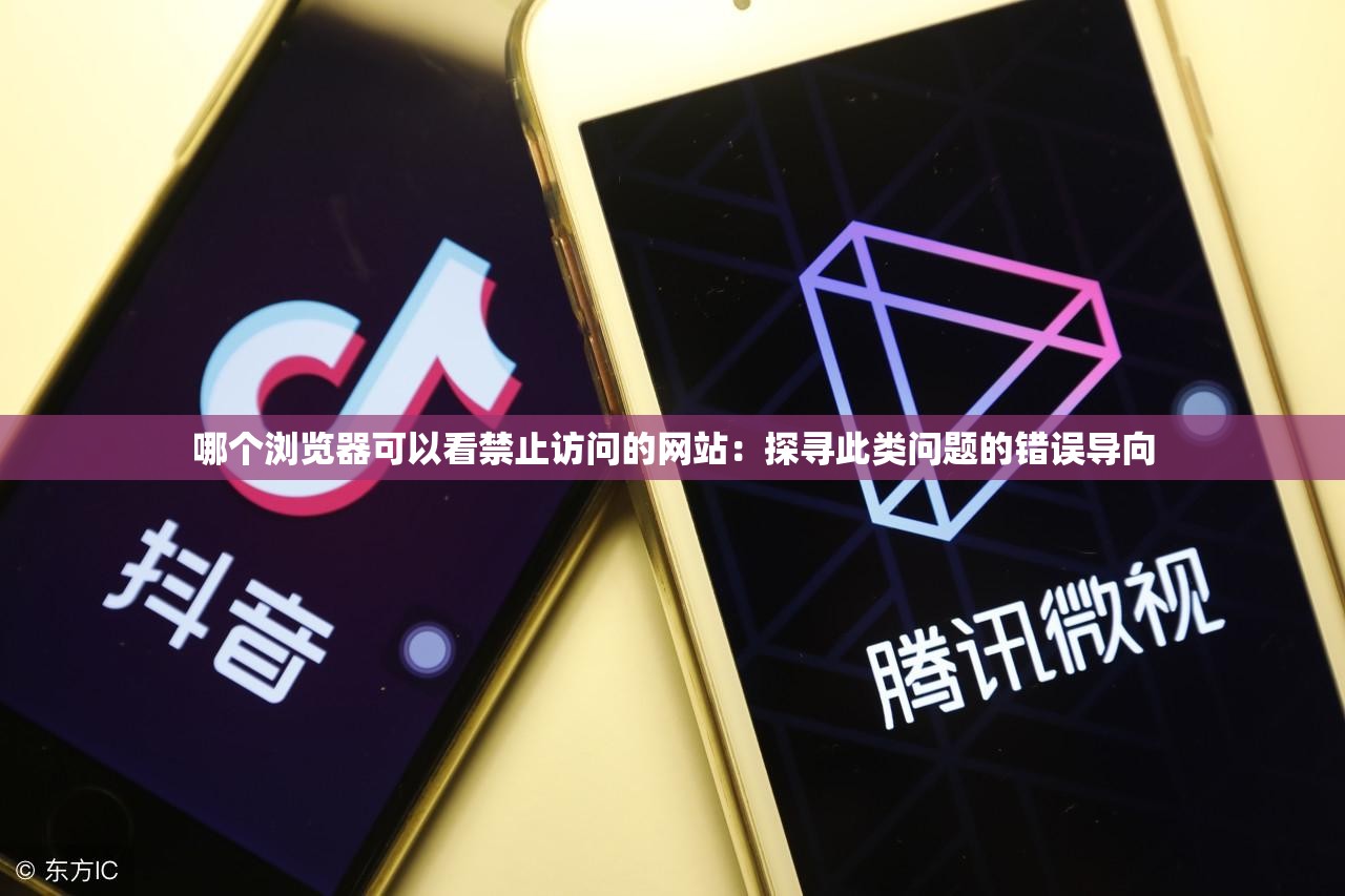 哪个浏览器可以看禁止访问的网站：探寻此类问题的错误导向